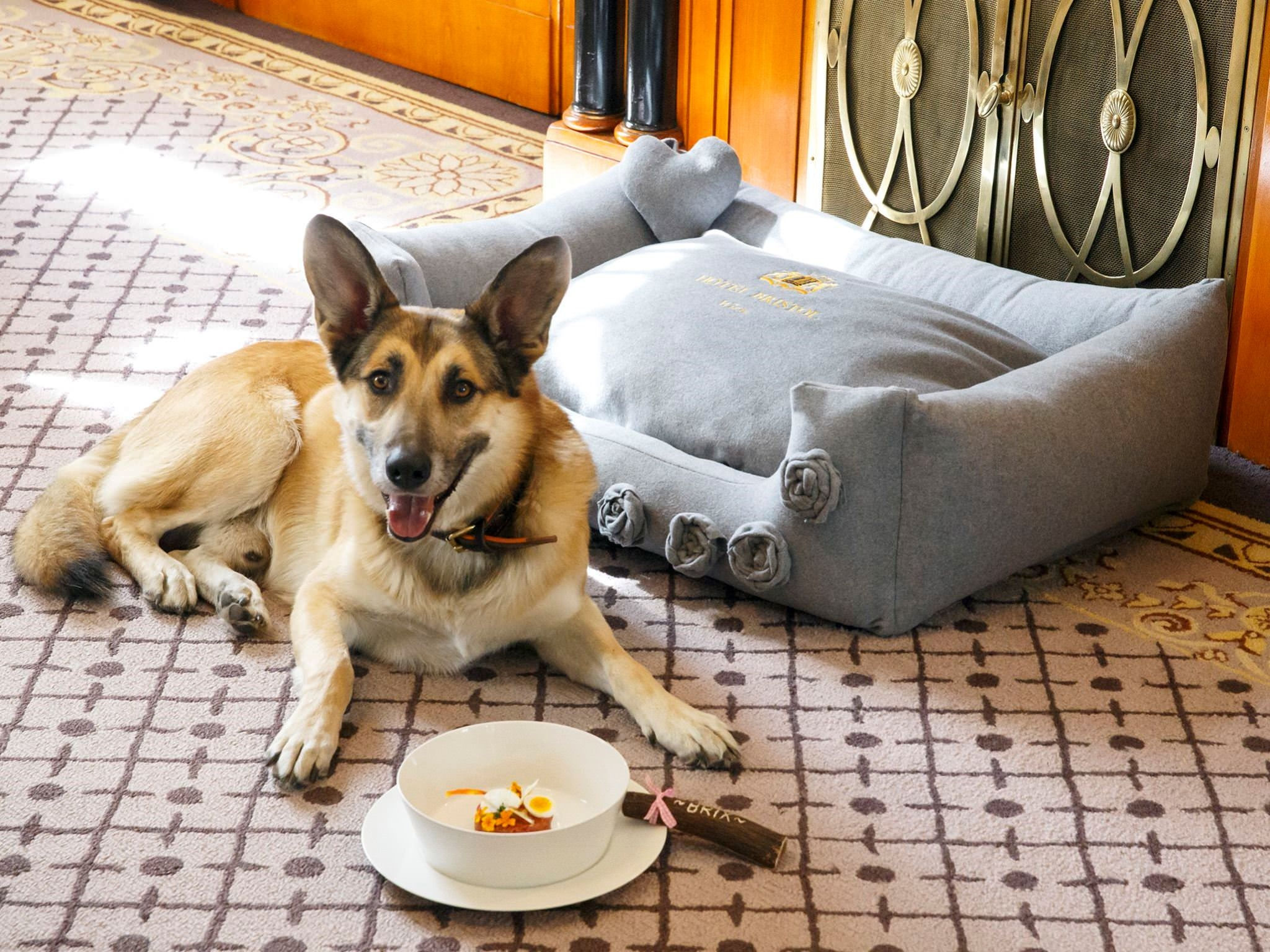 Pet friendly hotels Hotel Bristol Vienna